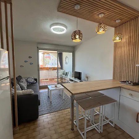 Apartment Deux Pieces Avec Vue Sur Canal Et Parking Prive A - Fr-1-338-616 Sete